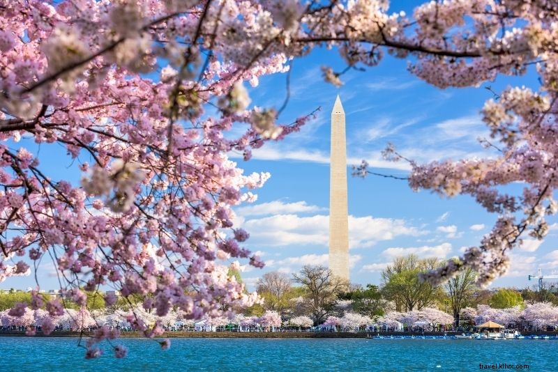 ワシントンDCでやるべき72の楽しくて珍しいこと