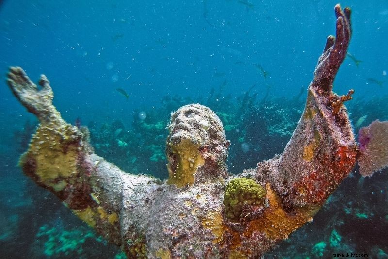 フロリダ・キーラーゴで楽しむ38のアクティビティ