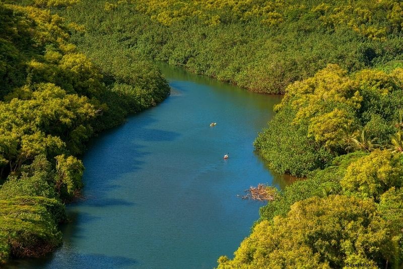 カウアイ島で楽しむべき41のアクティビティ – ハワイのツアーとエクスカーション