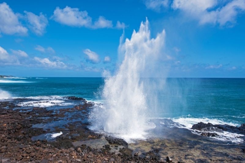 カウアイ島で楽しむべき41のアクティビティ – ハワイのツアーとエクスカーション
