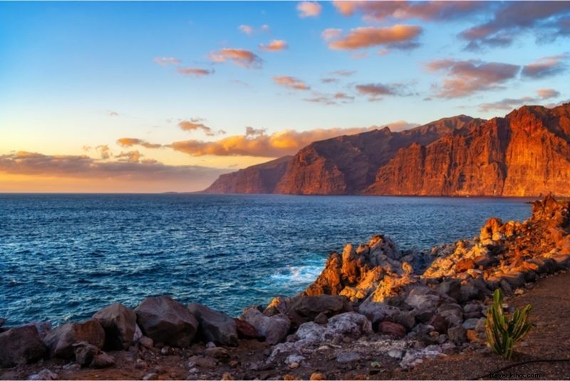 テネリフェ島で体験すべき40のユニークなアクティビティ