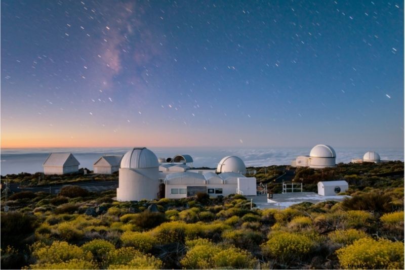テネリフェ島で体験すべき40のユニークなアクティビティ