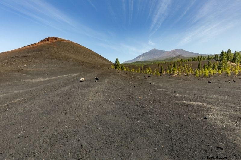 テネリフェ島で体験すべき40のユニークなアクティビティ