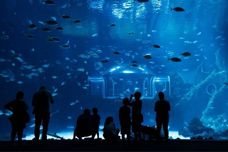 グラン・カナリア島で体験したい30のおすすめアクティビティ