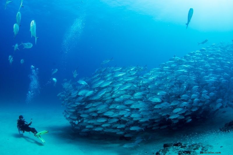 ロックダウン中に自宅で楽しむ39の旅行体験