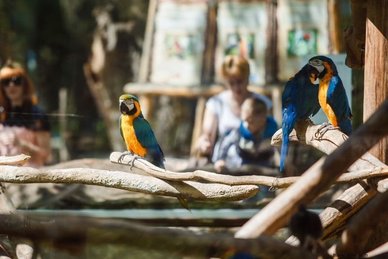 ロンドン動物園の格安チケット – 最大30%オフ