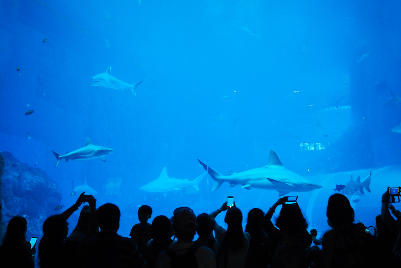 サンティアゴ・ベルナベウ・スタジアムツアー：知っておくべきすべての情報