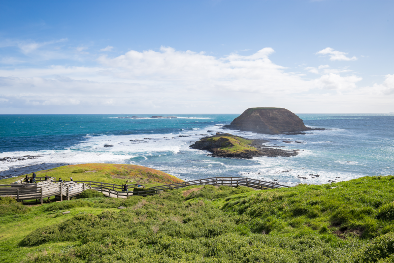 メルボルン発！おすすめ28日帰り旅行 – フィリップ島・ヤラバレーなど
