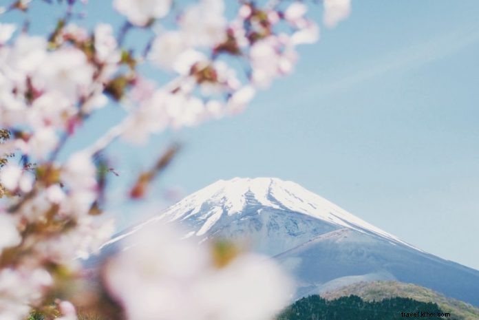 東京発 富士山ツアー完全ガイド
