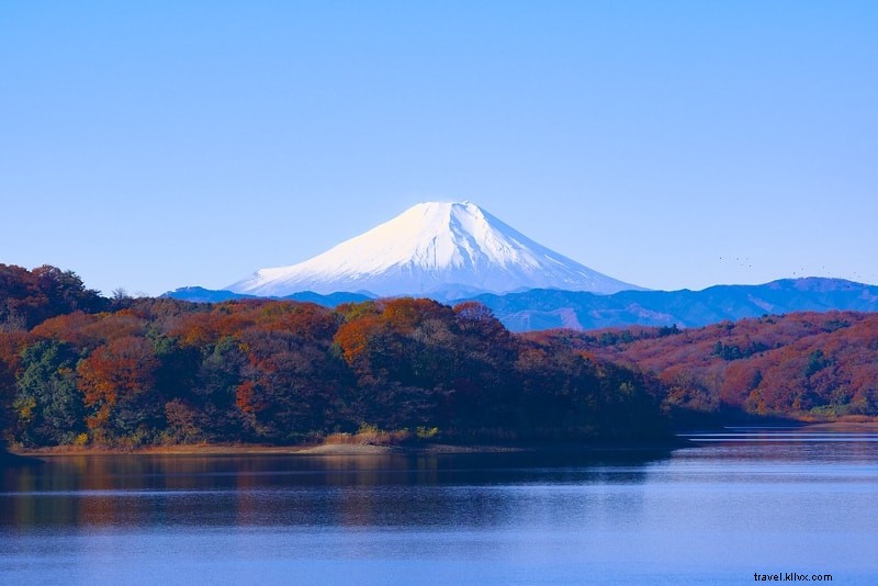 東京発 富士山ツアー完全ガイド