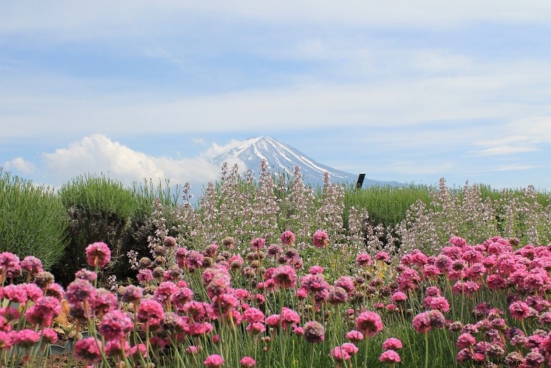 東京発 富士山ツアー完全ガイド