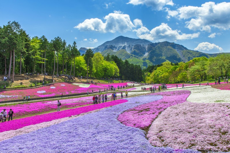 東京発・おすすめ日帰り旅行42選