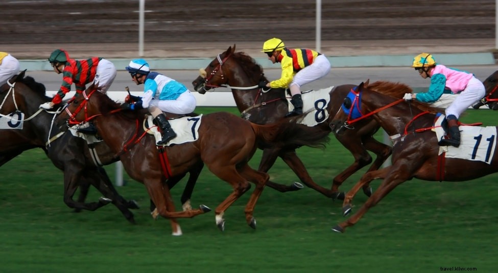 香港で体験したい37の楽しいアクティビティ – クールでユニークな楽しみ方