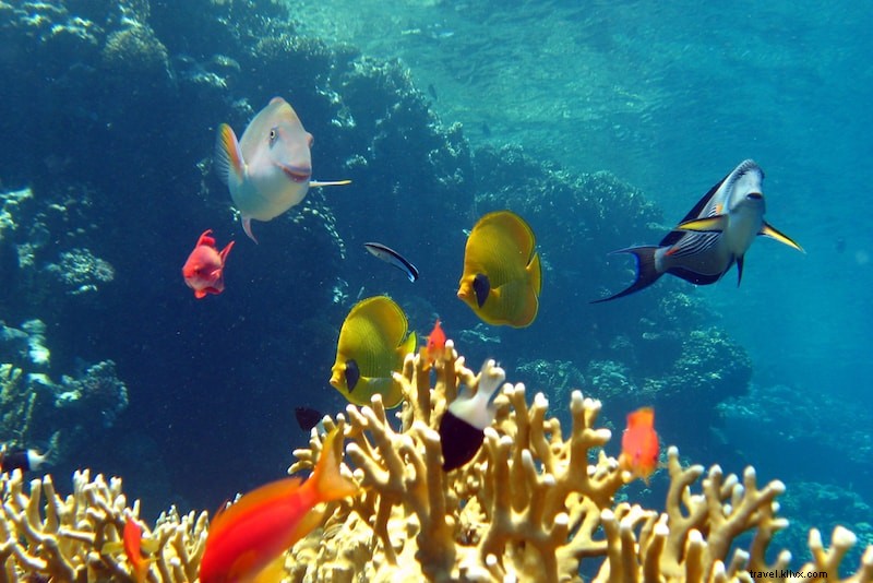 まだ知られていないアジアの絶景19島を巡る旅