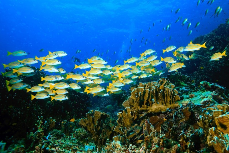 まだ知られていないアジアの絶景19島を巡る旅