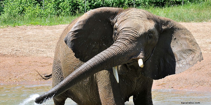 2020年にカンザスシティへ行くべき20の理由