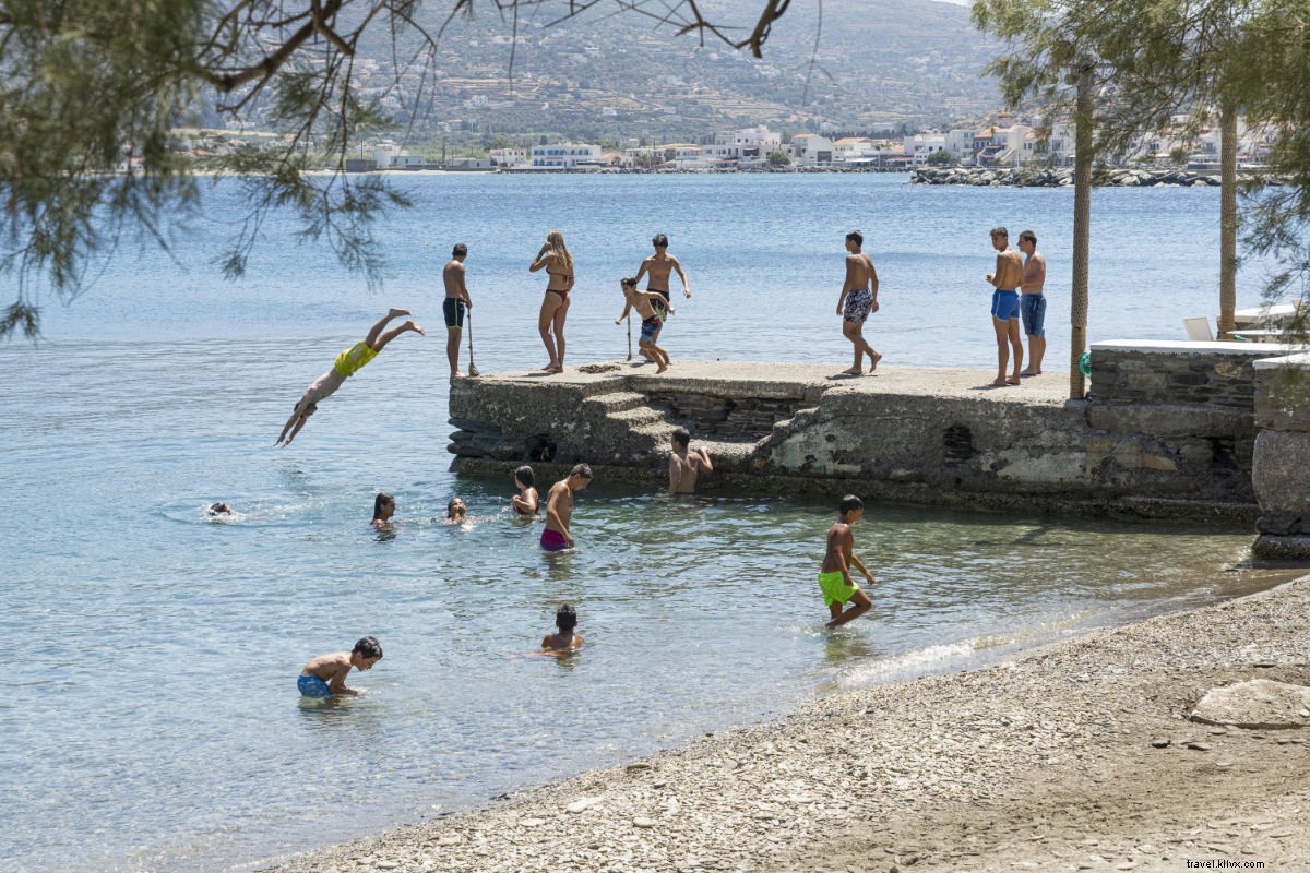 アンドロス島はギリシャの宝石、最高の体験