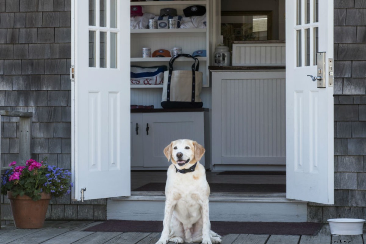 今年の夏、愛犬と行くべき23の絶景スポット