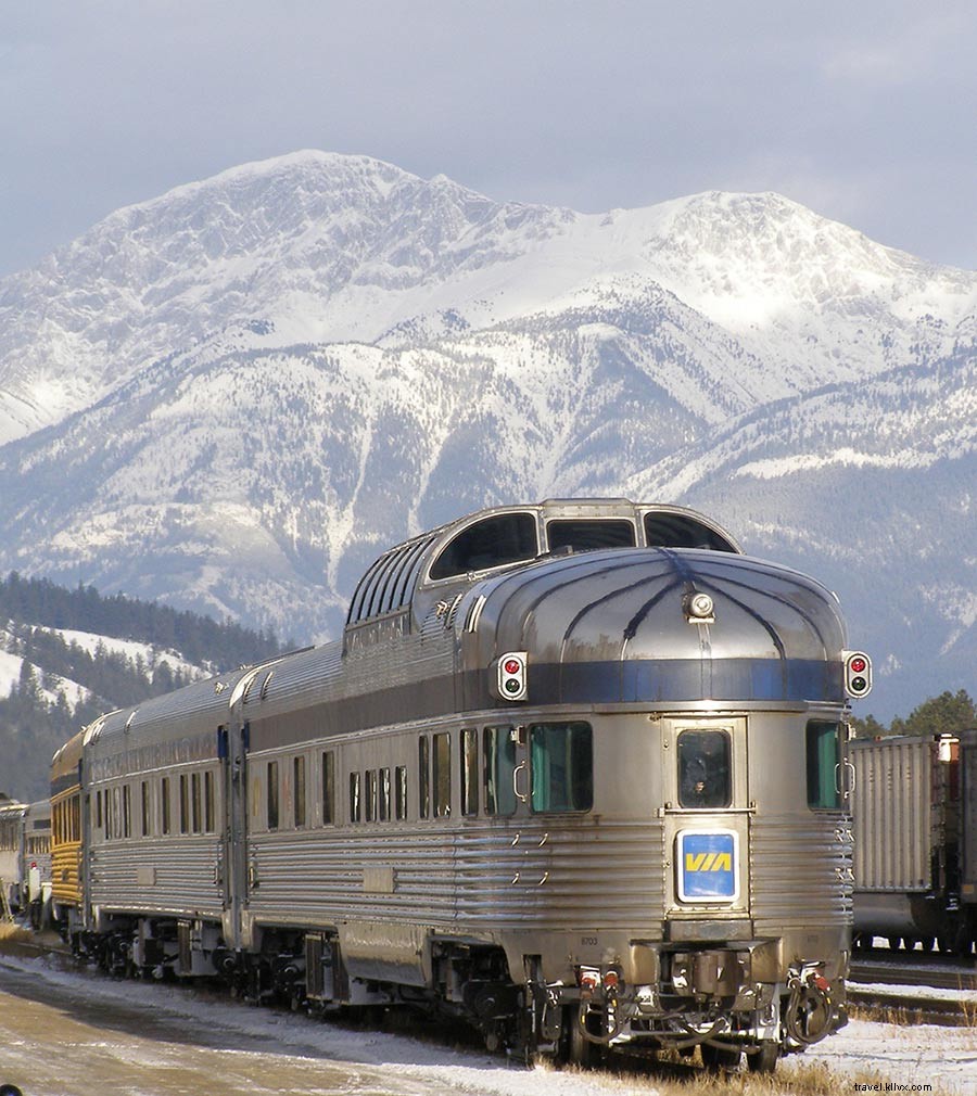 ウィンターワンダーランドへの片道列車チケット
