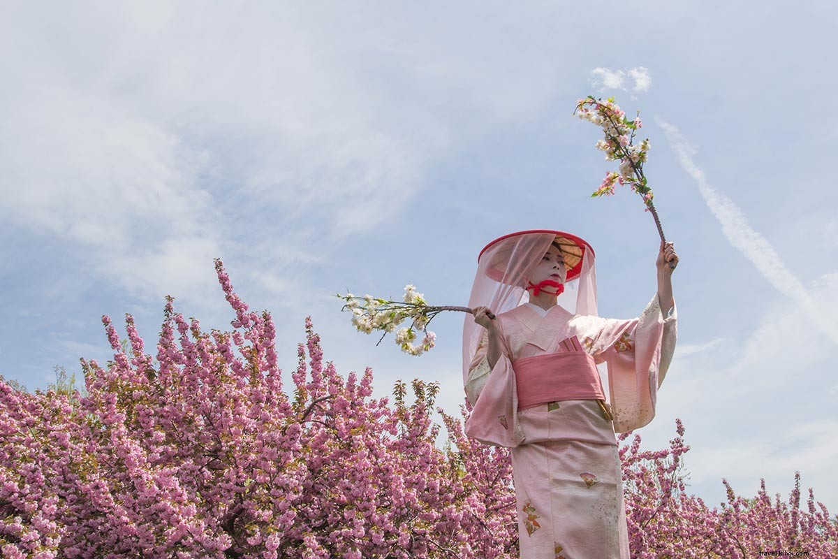 私たちが愛するリンク – 2019年4月27日