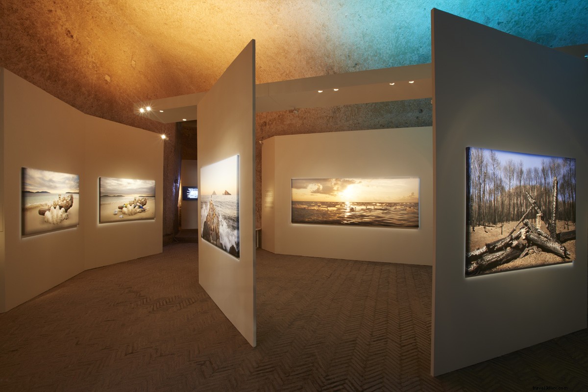 壊れやすい世界を映す静物：ナポリで開催中の写真展