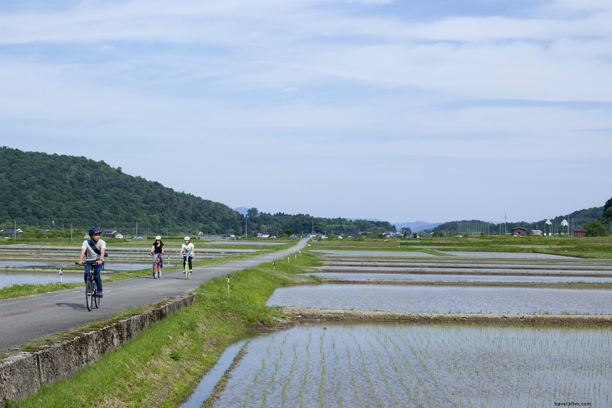 京都すぐ外にある日本最寒の温泉街・城崎温泉の魅力