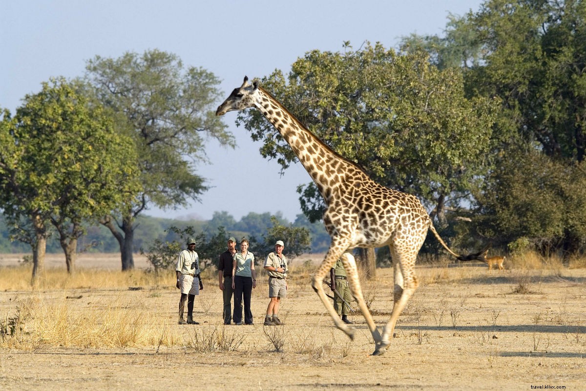 忘れられないオフグリッドリトリート10選：グループ旅行と遠征