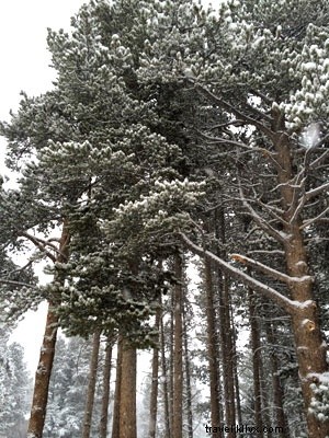ブリッケンリッジで雪を満喫するすべての方法