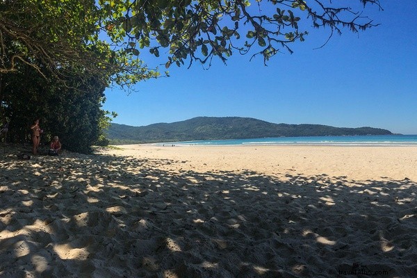 彼は体調不良、でもあなたは大丈夫――夢のようなブラジルの島へ行くべきか？