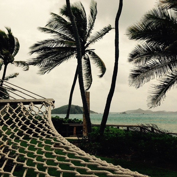 BVI・デッドマンズビーチで体験する島の暮らし
