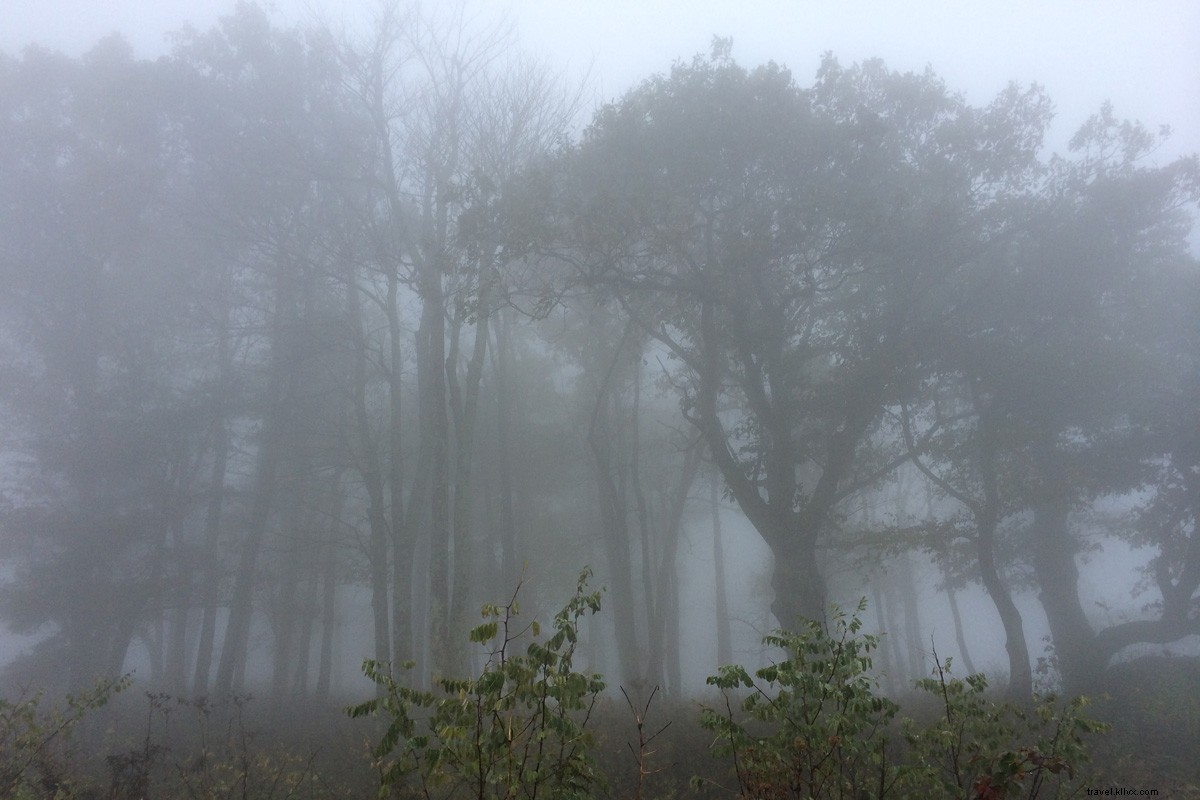週末はシェナンドアで山々の絶景を楽しむ