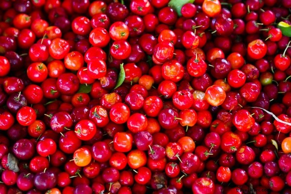 プエルトプラタで楽しむ5つのおすすめスポットと体験