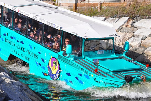 俳優が実際にTripAdvisorのレビューを朗読：ボストン・ダックツアーにご注意を