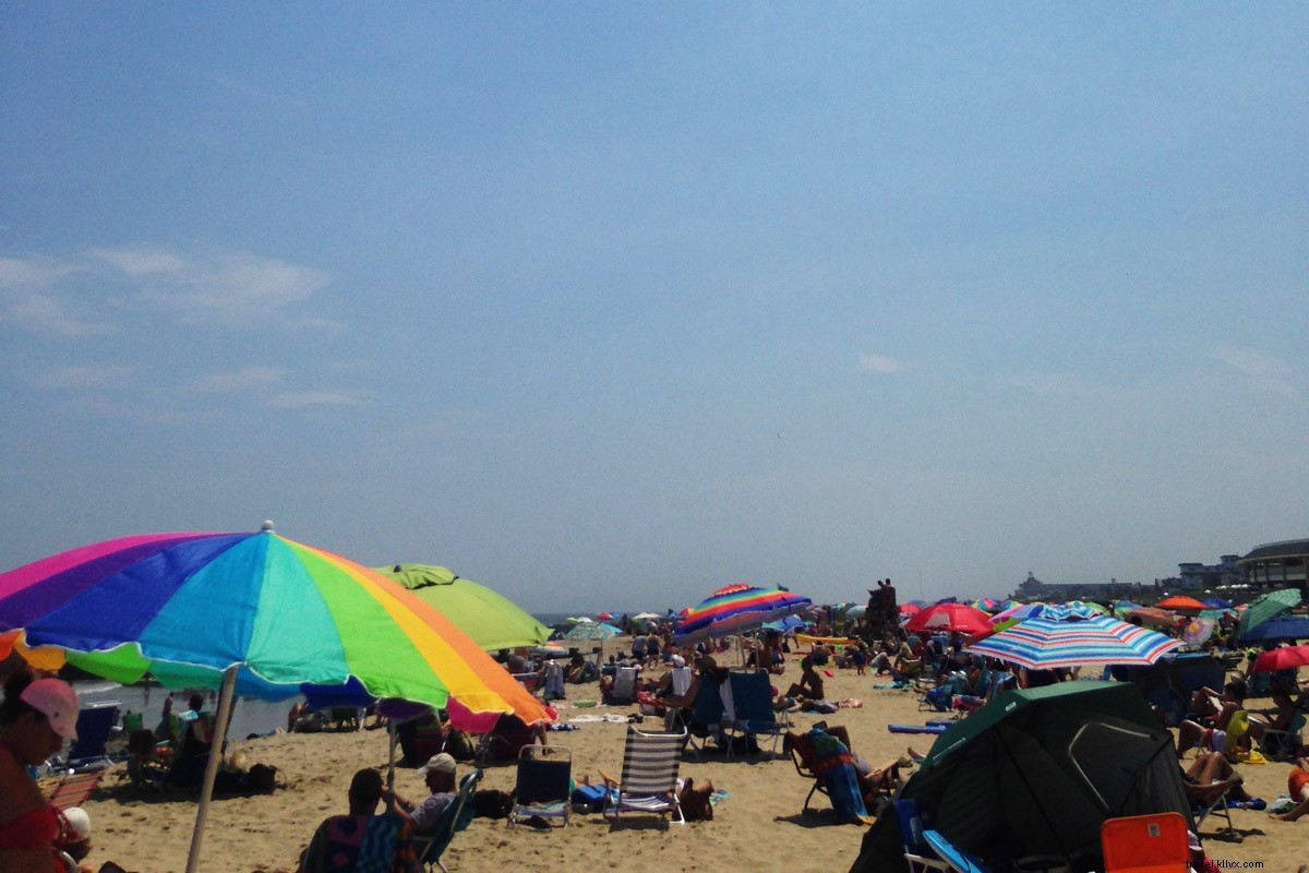 Lifes a Beach：『ダウン・ザ・ショア』からの抜粋