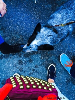 SXSWでの羨望克服法：48時間で得たサバイバルガイド