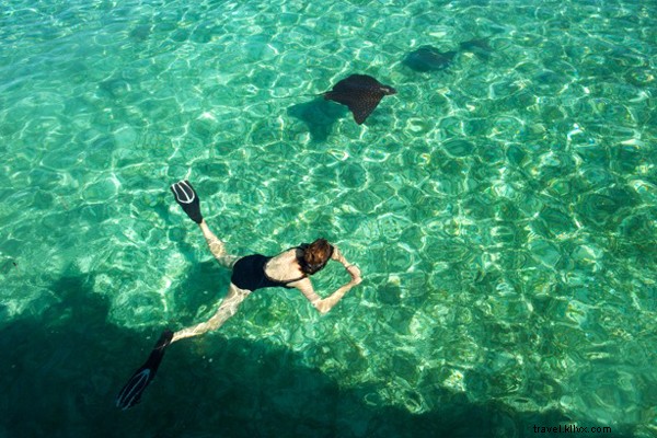 ベリーズ・タートルインでのカリブ海冒険