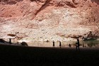 旧正月おめでとう!ヘビと旅する冒険を祝って