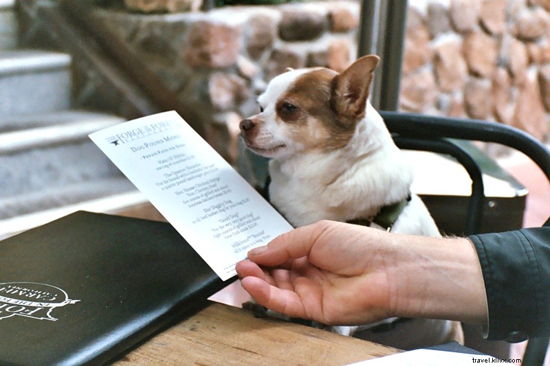 カーメルで犬と過ごすハッグ＆ワグホリデー
