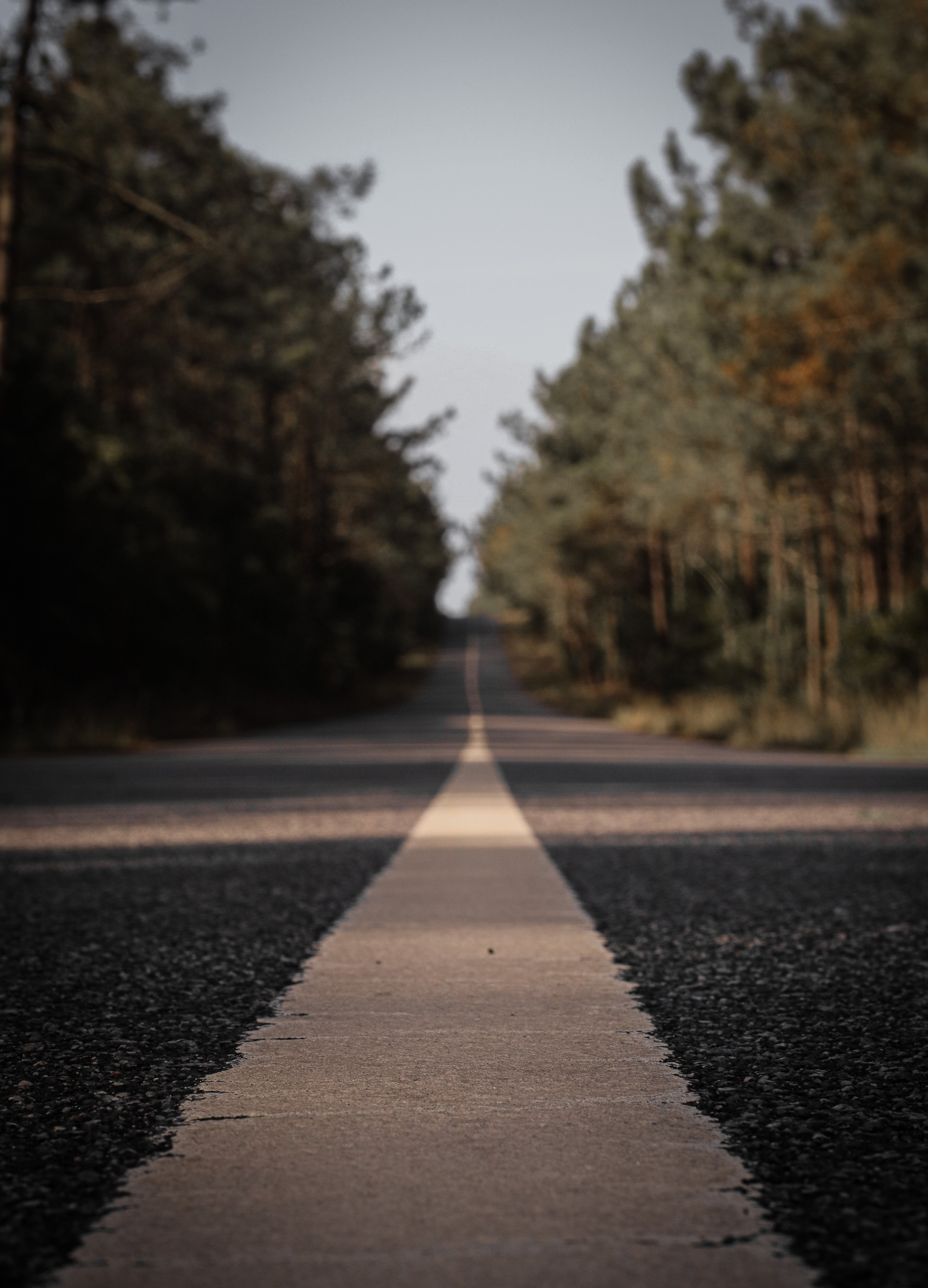舗装道路の白線を見下ろす写真