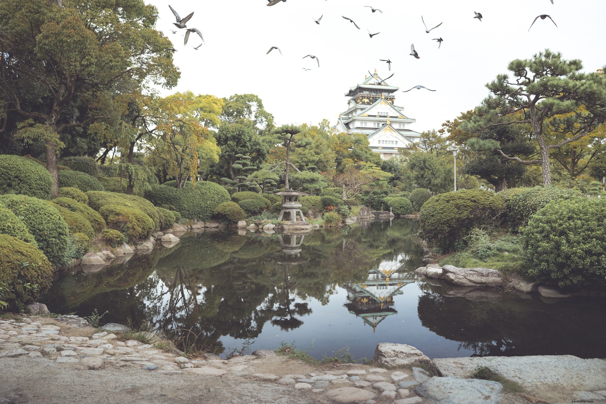 石と並木の池が背の高い白と金の建物を映し出す