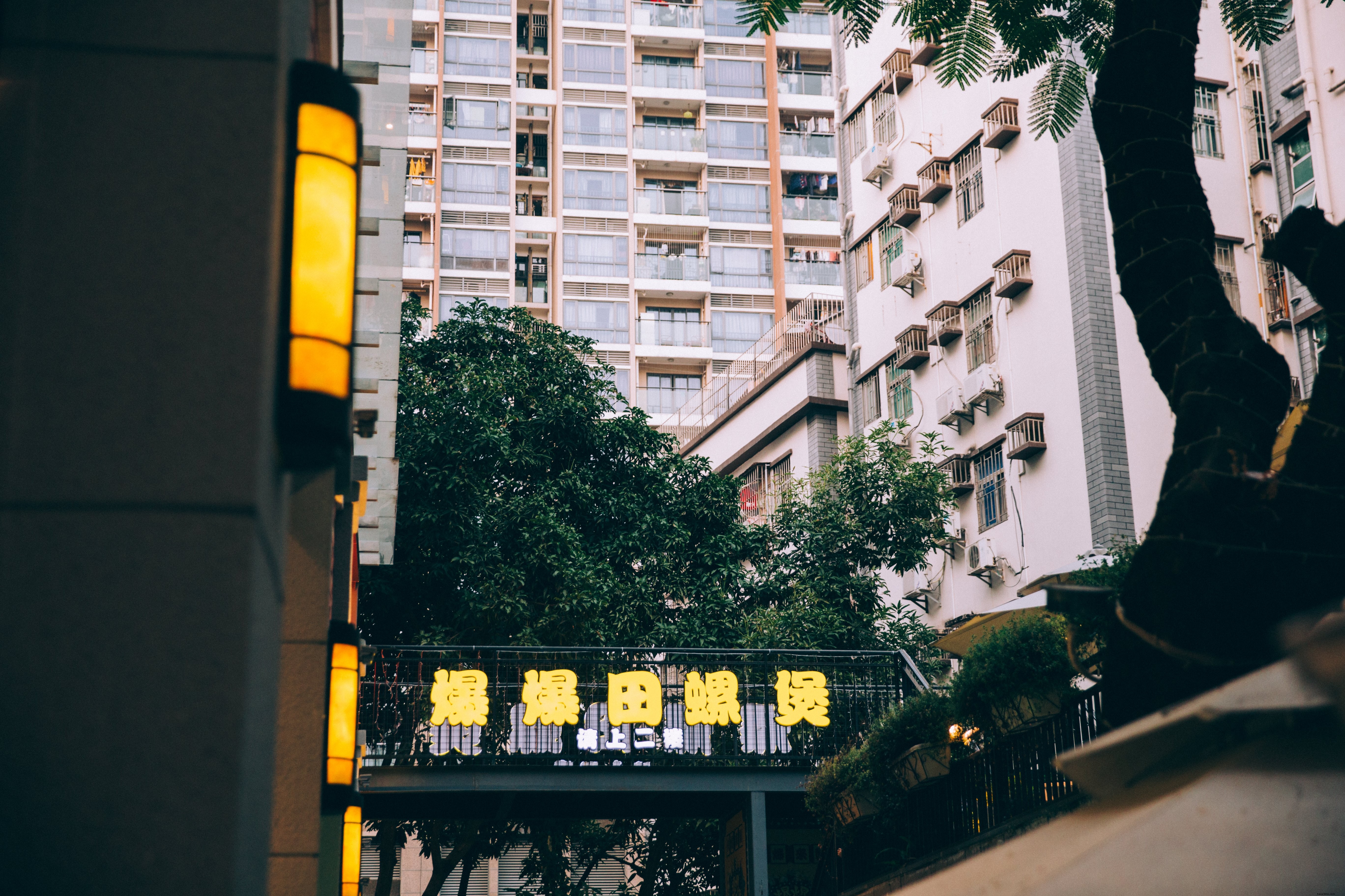 周囲の建物を突き破る木々の写真