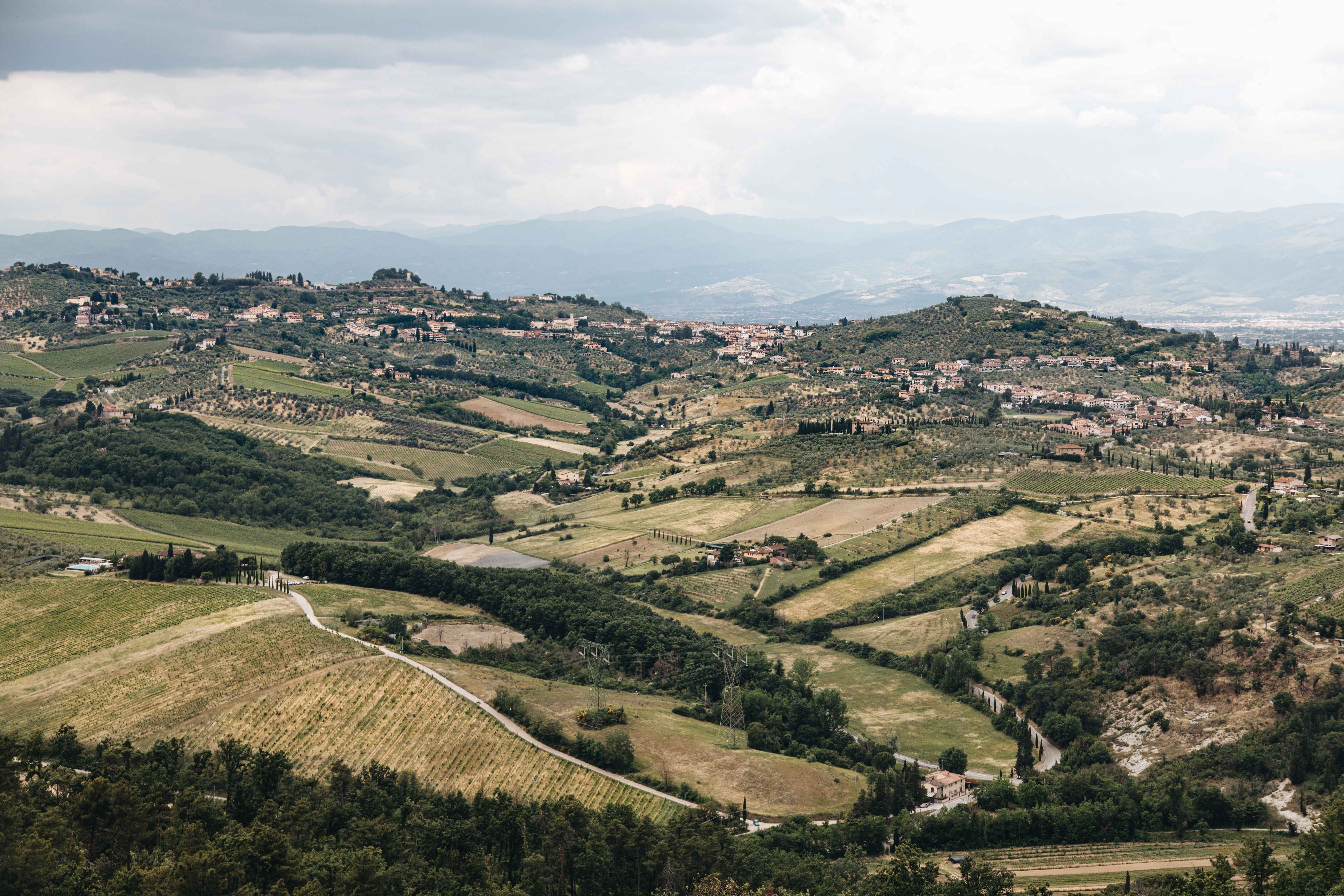 イタリアの緑豊かな風景：多彩な色合いの写真