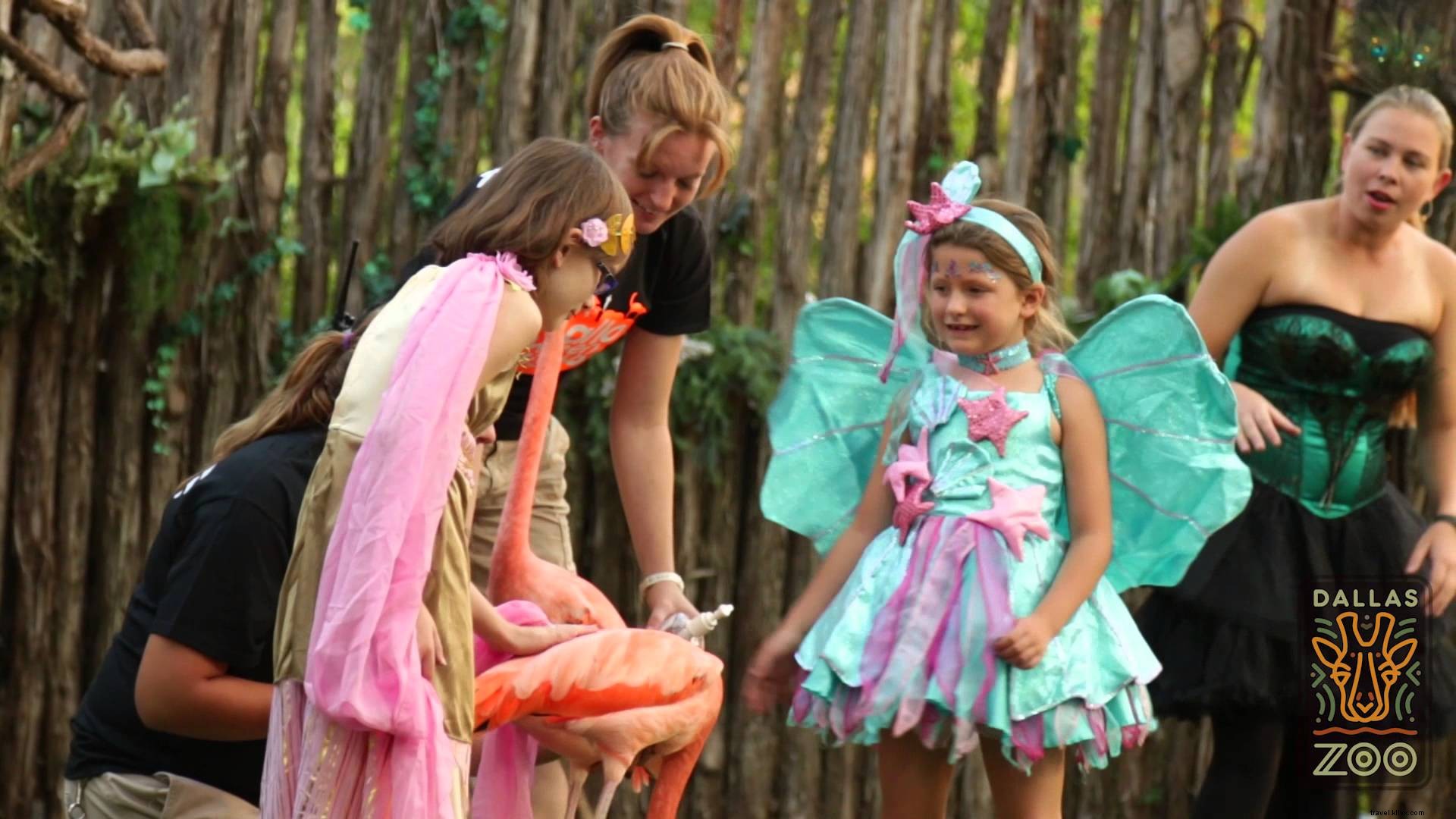 ハロウィンはダラスでどう楽しむ？おすすめイベントまとめ