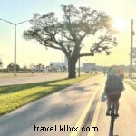 ミシシッピ湾岸で楽しむ自転車トレイル