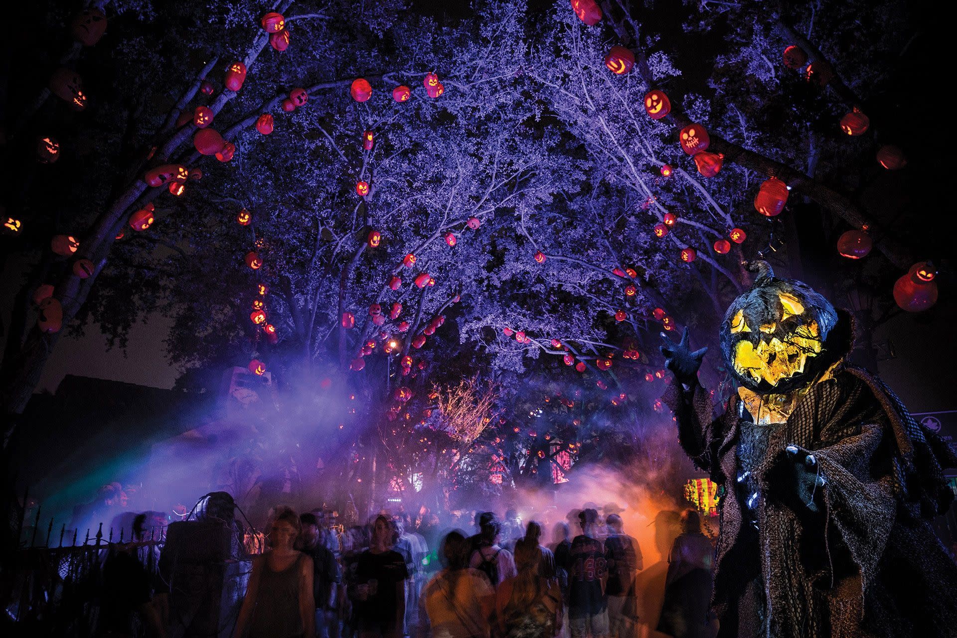 10月のオーランド・イベントは見逃せない!