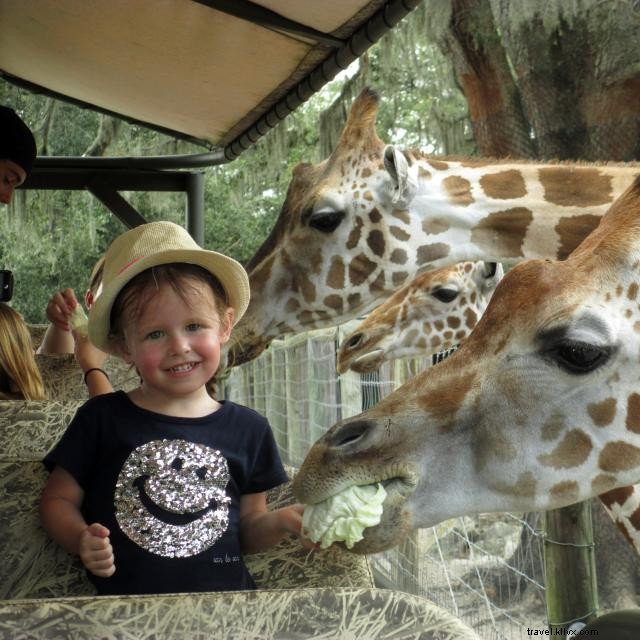 オーランドの動物園・庭園で野生の世界を体験しよう