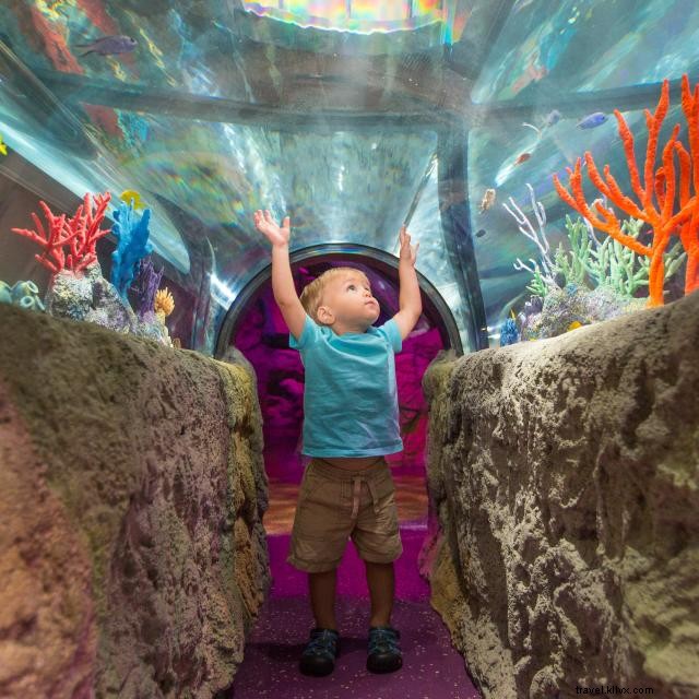 オーランドで子どもが楽しめる10のSTEMアトラクション