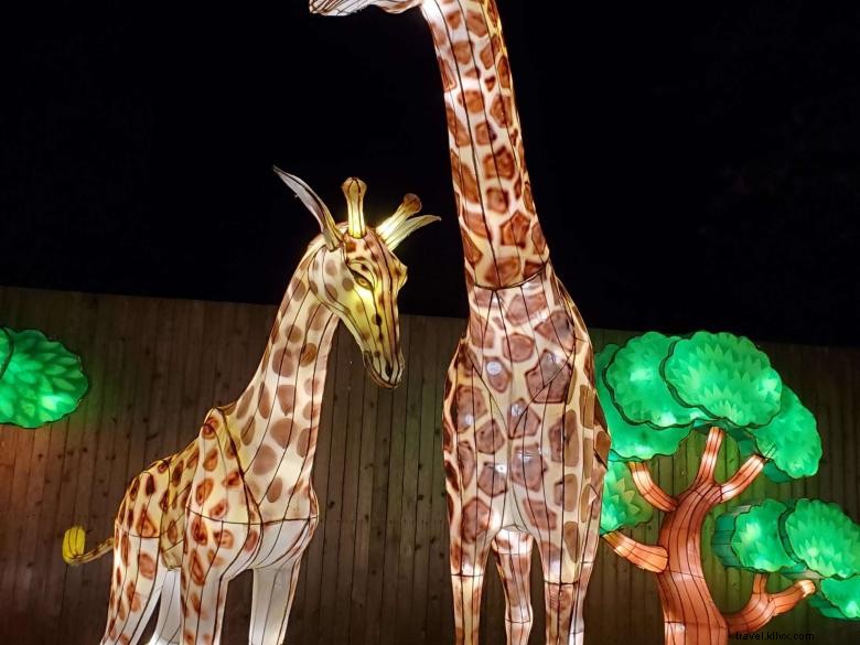 中国のランタンフェスティバル：アトランタ動物園で夜の光の饗宴