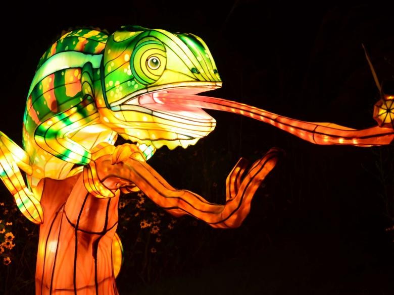 中国のランタンフェスティバル：アトランタ動物園で夜の光の饗宴
