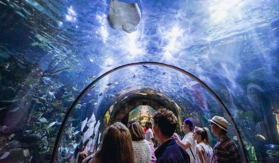 ニューオーリンズの春旅行完全ガイド